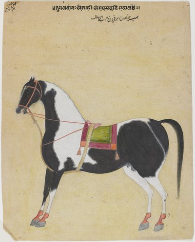 The Stallion Jukaldan Ayragi by Bhavani Das